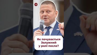 Як Залужному у Великій Британії? #посол #залужний