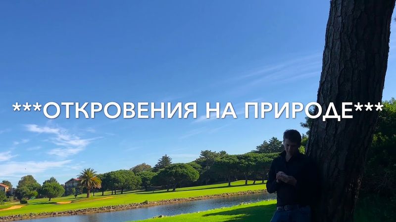 Откровения на природе