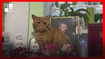 «Живий. Тарас Матвіїв». Емоції документального фільму