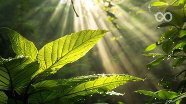 Beautiful Piano Music "Wrenley" Relaxing Music, Sleep Music, Meditation Music, Background Music