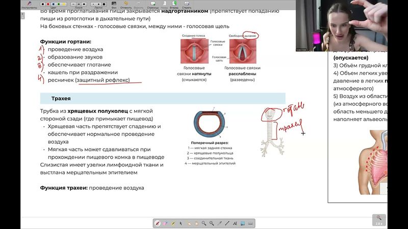 Реанимация. День 11 | тгк: biowithbear
