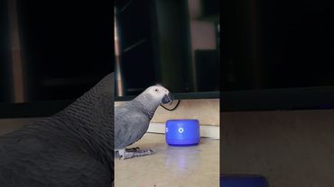 #рек #жакосаймон #shots #смех