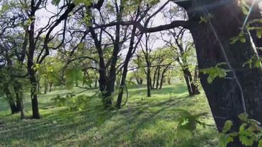 Интро. 03.03.2024—...