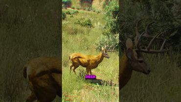 New Peyote Spots That’ll Blow Your Mind in GTA 5!