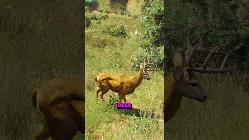 New Peyote Spots That’ll Blow Your Mind in GTA 5!