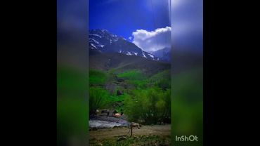 اجرای کامل اهنگ لری ظالم با خوانندگی رضا میران 🌹🌹🙏🙏