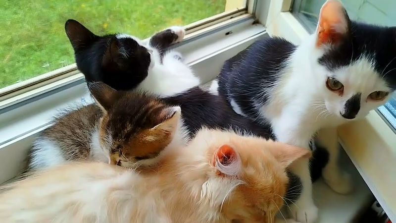 #Славянск. 2 сентября 2025г. Вечер.