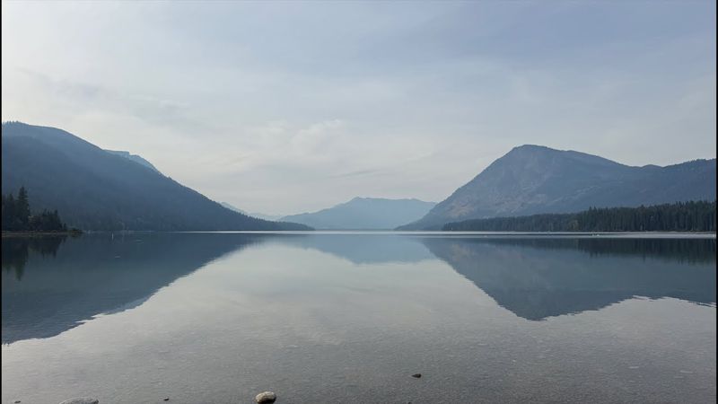 Манифестации моментальны