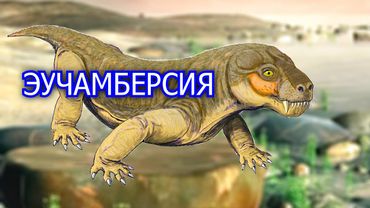 Эучамберсия. Ядовитый звероящер. Вымершие животные. Видео про животных