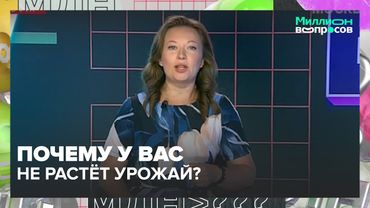 Почему у вас не растёт урожай? Ошибки дачников и советы садовода | Миллион вопросов