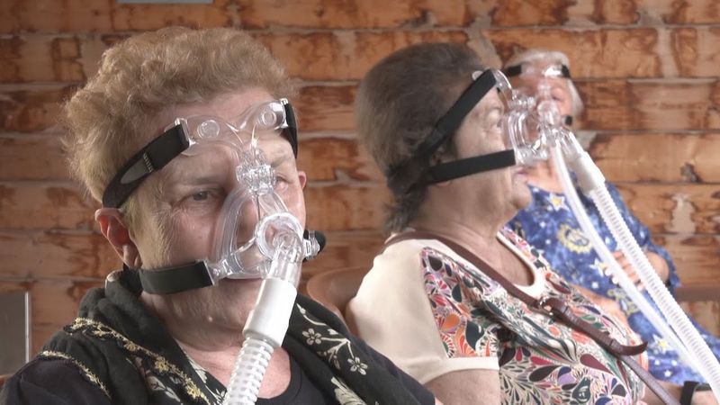 Турецкий пчеловод предлагает лечиться воздухом из ульев