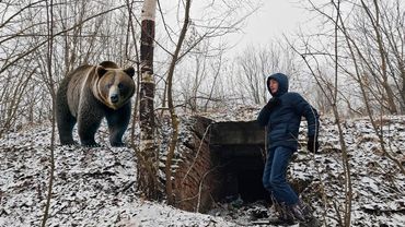 L'orso mi ha attaccato-Il bunker abbandonato mi ha salvato la vita