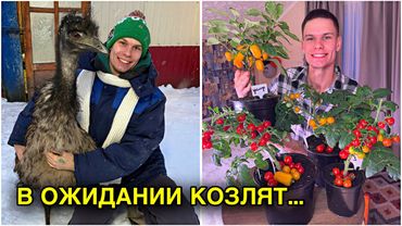 ФЕРМА РАСШИРЯЕТСЯ - цыплята выводятся, ожидаем окот коз, ОГОРОД ЗИМОЙ - это реальность ! 🐥🍅