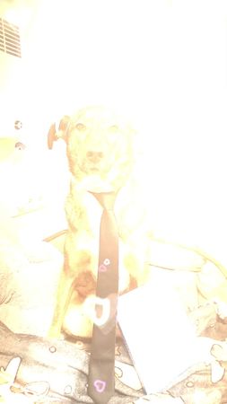 Открыточки можно скачать в телеграме❤ (ссылочка в описании профиля) #...