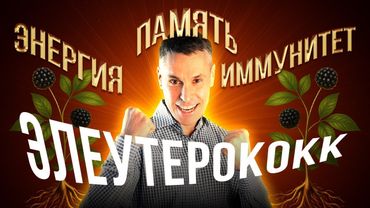 Как забытые растения помогут вам не стареть?