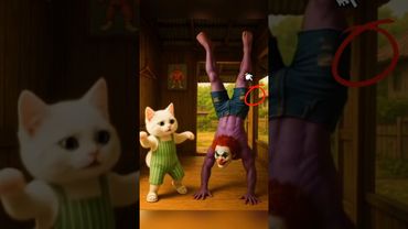 The father cat doesn't think #funny  #pets #cutecat #comedy #catlovers #cutecat #funny