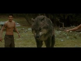 Волк - Безумно можно быть первым