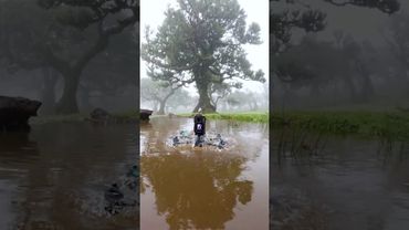 That FPV drone emerged out of the water like a crocodile 🐊 Osmo Action 5 Pro 🎬@SebastianSchieren