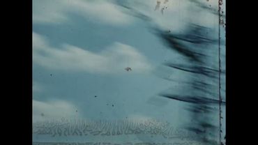 Far From The Explosive Form Of Fruit