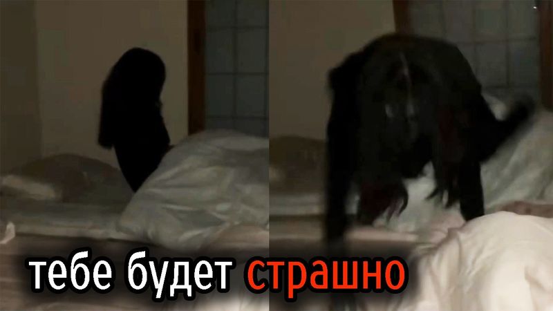 Самые Ужасные Видео со Всего Мира #61