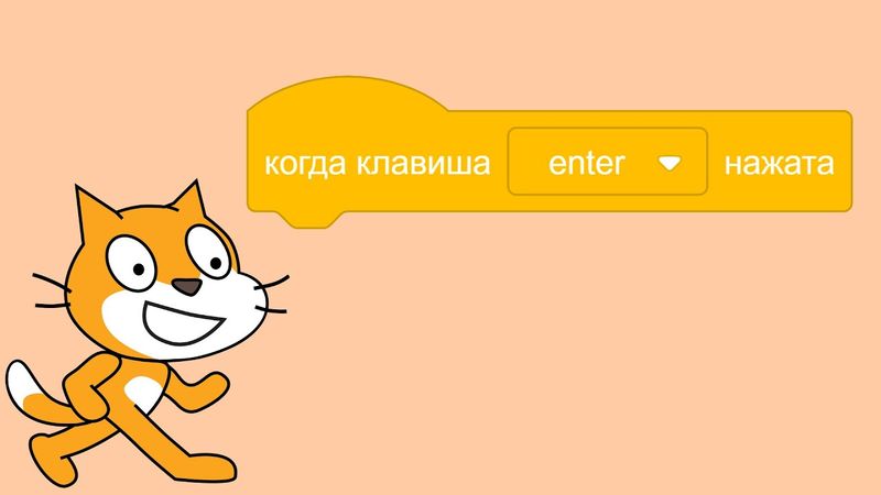 «Когда клавиша enter нажата» в Scratch — как сделать