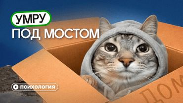 Почему мы никогда не купим квартиру: миллениалы и зумеры обречены на вечную аренду