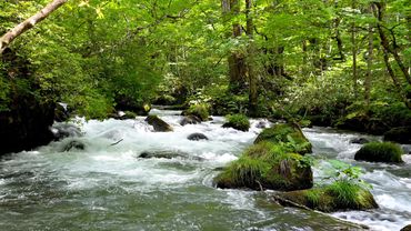 10 Hours of Mountain River Sounds – Flowing Water in Forest | White Noise for Sleep & Relaxation.