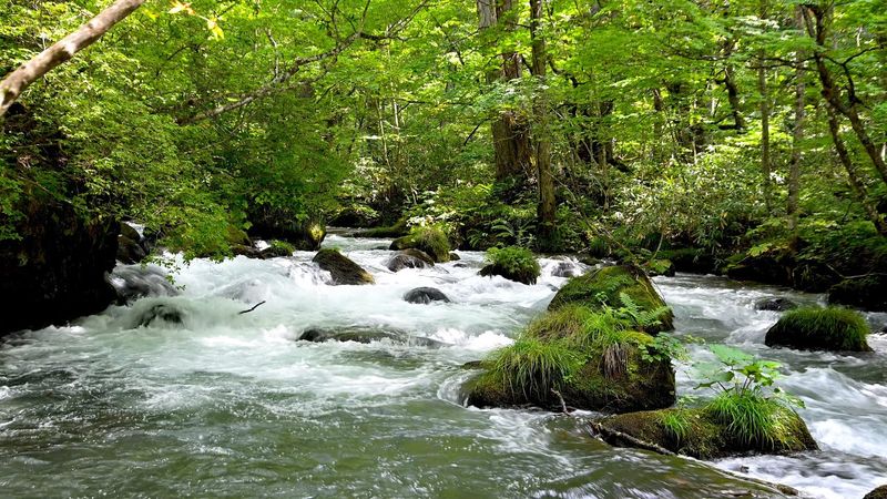 10 Hours of Mountain River Sounds – Flowing Water in Forest | White Noise for Sleep & Relaxation.