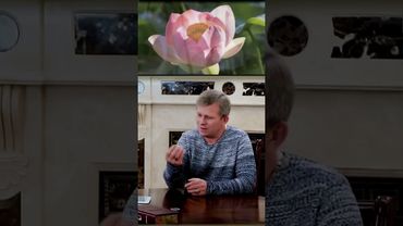 В действительности Бог не видит человека, пока он не станет Ангелом. Этот мир, как болото... #shorts