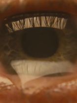 Top 20 best eps in TV for me, you don't have to agree with me. I thin...