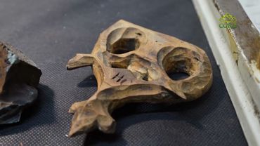 «Источник жизни» (Нижний Новгород). Выпуск от 25 июля 2025