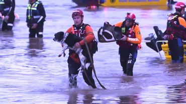 Из-за наводнения на юго-востоке Австралии гибнут люди