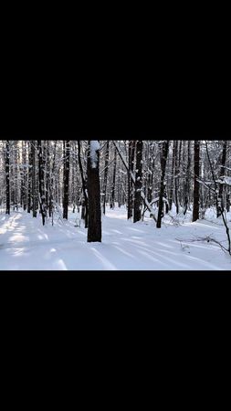 Да и обычные обожаю 