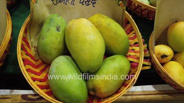 Charulata, Surekha, Sangita Pasand, Rekha, Sunanda, Mickey Mink mango varieties named for women