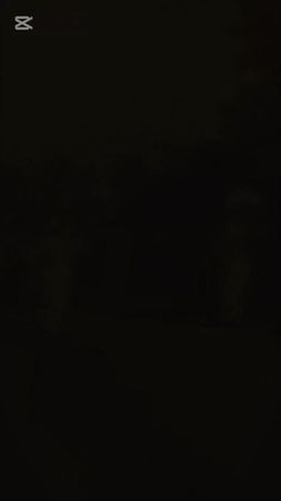 မိတ္ထီလာကဆင်၂၅ကောင်နဲ့အလှူကြီး🤗#မိတ္ထီလာမြို့  #အလှူတော်မဂ်လာ #သံစုံဒ...