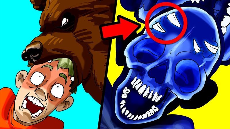 Везунчики, Которые Пережили Невероятное. Часть 11