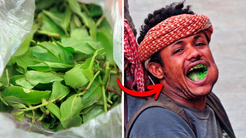 Он даёт энергию… а потом забирает всё. Что такое хат?