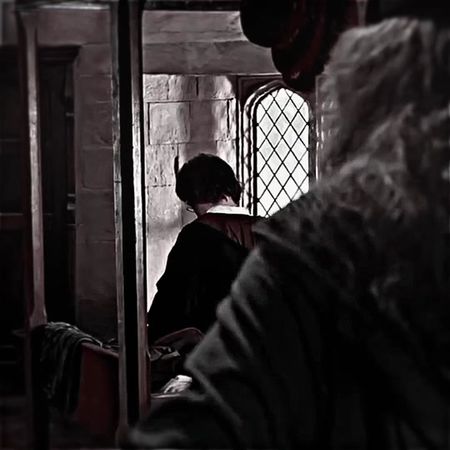 Гарри поттер гоблинский перевод #гаррипоттер #дубляж #гарикпоттов #хо...