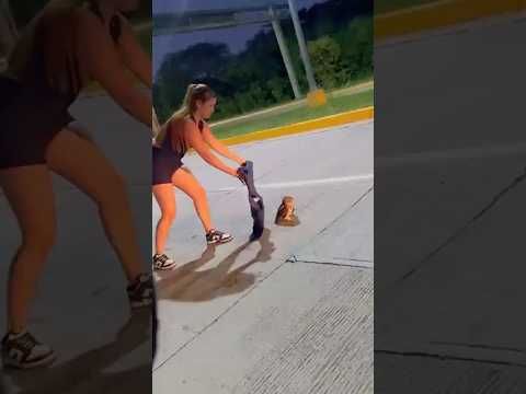 This woman helped a sick owl, when the owl recovered and was released... #helping #respect #shorts