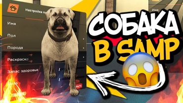 X PROJECT - ТОП СЕРВЕР В GTA SAMP(MTA)