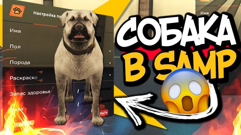 X PROJECT - ТОП СЕРВЕР В GTA SAMP(MTA)