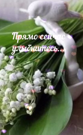 TikTok video #6930550527545642241