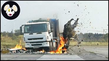 20 Terrifying Moments Of Invasive Animals Colliding With Trains And Trucks On Christmas