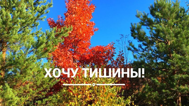 ВЫХОДНЫЕ С ДВУМЯ ДЕТЬМИ/МИРА ГУЛИТ)/КАТАЕМСЯ/НОВЫЙ МАНИКЮР)