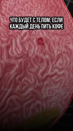 Что будет, если каждый день пить кофе 
