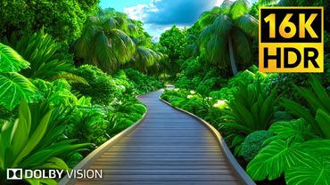 16K Video ULTRA HD - 16K HDR 120fps Dolby Vision | 8K Earth