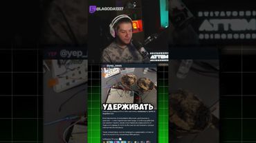 twitch: lagoda1337 #lagoda1337 #twitch#новости #гриб #оперативка #озу#пк