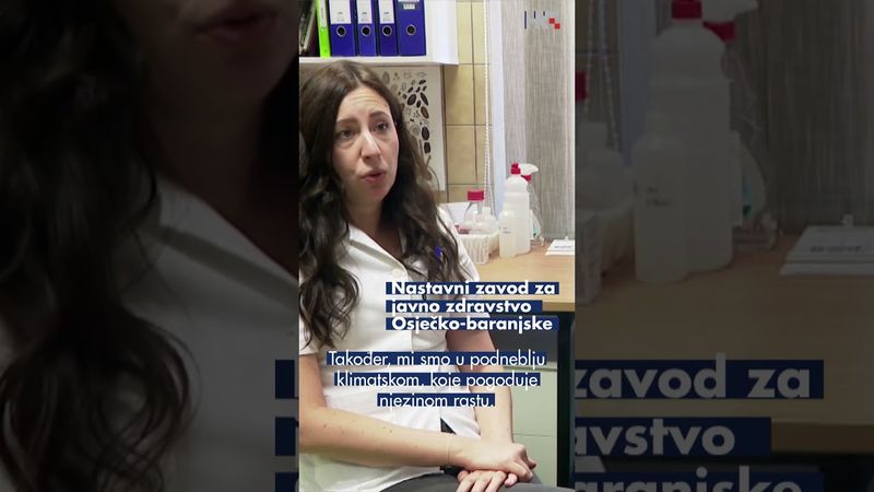 Alergijski semafor u crvenom: Pelud ambrozije na vrhuncu