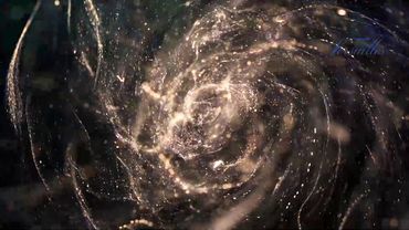 Телемагазин Версаль 02.07.2021 #4