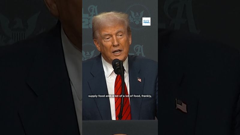 Donald Trump says Gaza occupation is 'up to Israel'